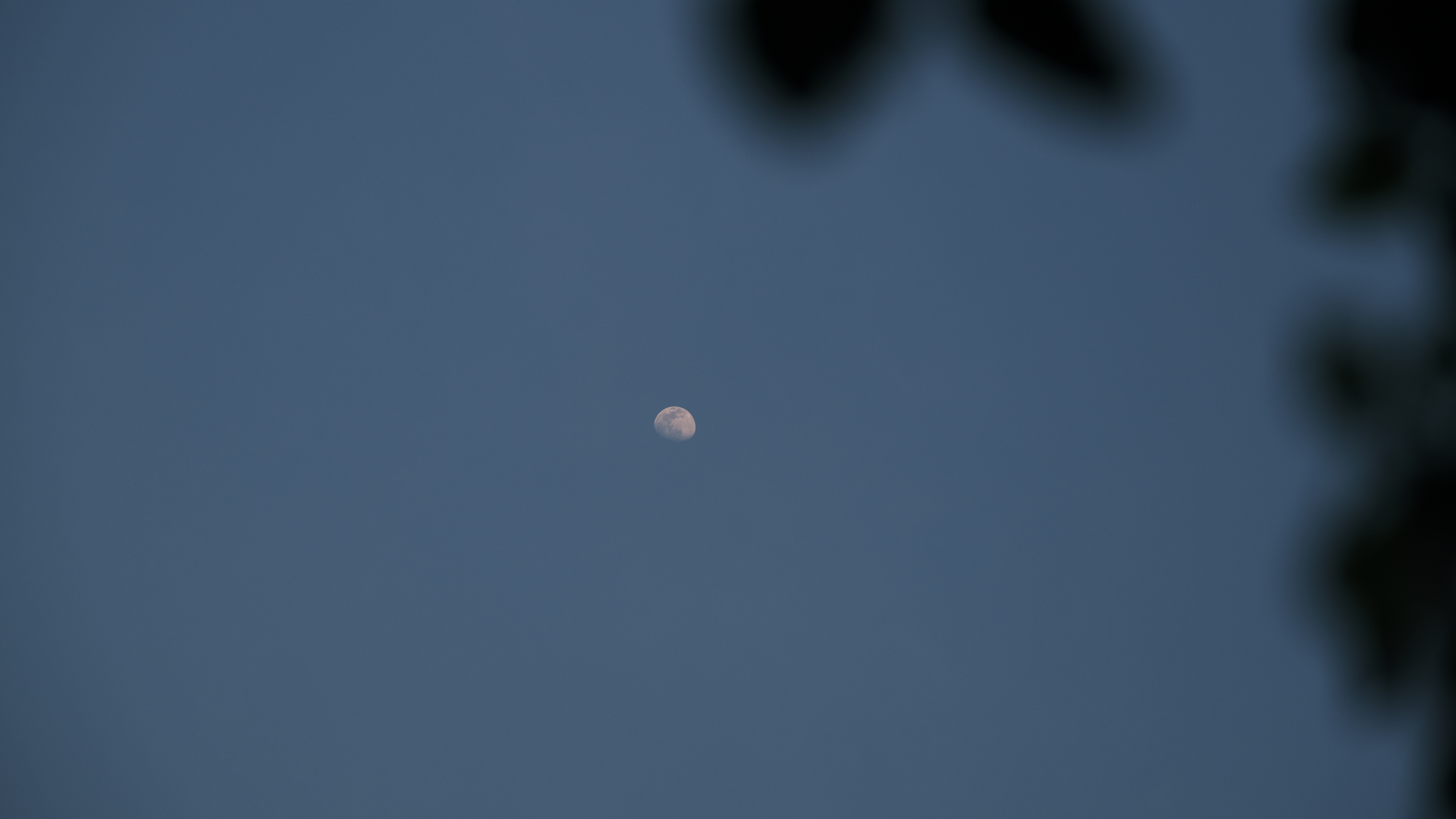 20220314—1