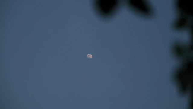 20220314—1